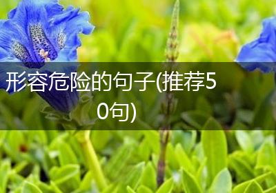 形容危险的句子(推荐50句)