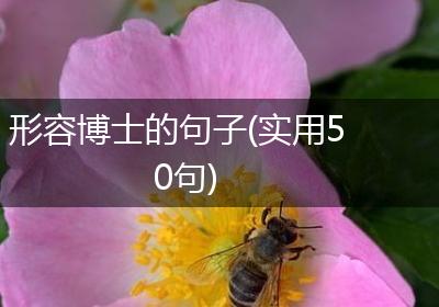 形容博士的句子(实用50句)