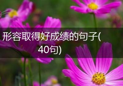 形容取得好成绩的句子(40句)