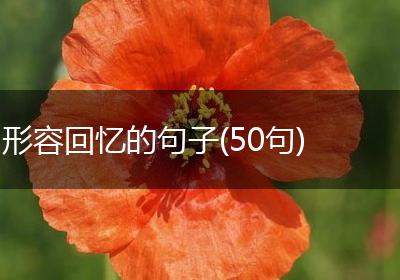 形容回忆的句子(50句)