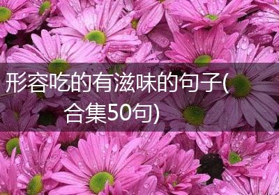 形容吃的有滋味的句子(合集50句)