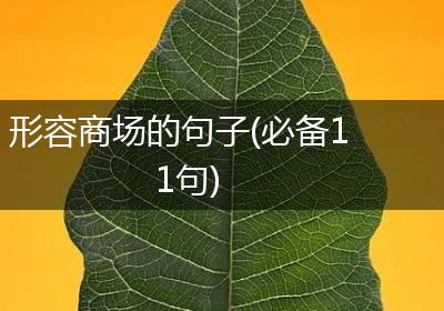 形容商场的句子(必备11句)