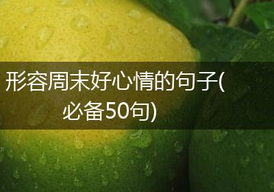 形容周末好心情的句子(必备50句)