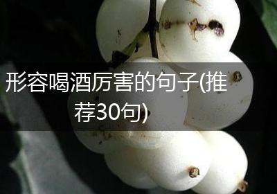 形容喝酒厉害的句子(推荐30句)