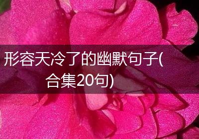 形容天冷了的幽默句子(合集20句)
