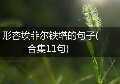 形容埃菲尔铁塔的句子(合集11句)