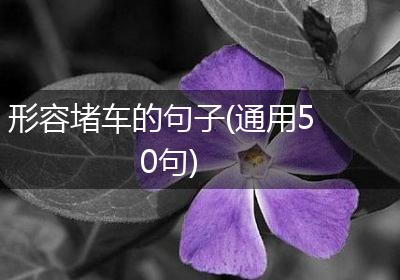 形容堵车的句子(通用50句)