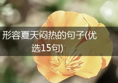 形容夏天闷热的句子(优选15句)