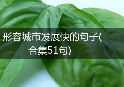 形容城市发展快的句子(合集51句)