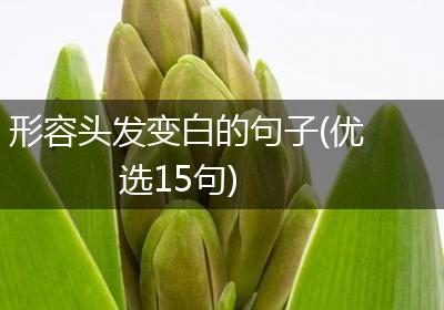 形容头发变白的句子(优选15句)