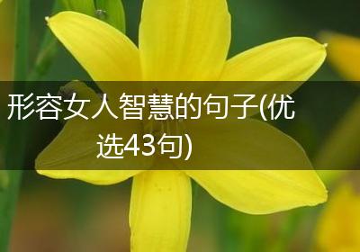 形容女人智慧的句子(优选43句)