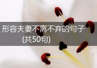 形容夫妻不离不弃的句子(共50句)