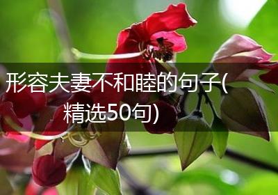 形容夫妻不和睦的句子(精选50句)