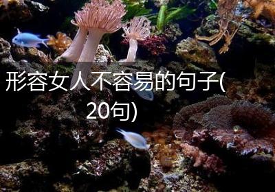 形容女人不容易的句子(20句)