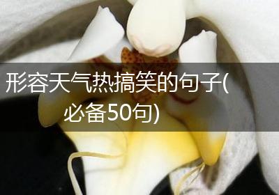 形容天气热搞笑的句子(必备50句)