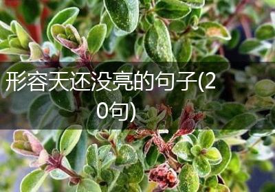 形容天还没亮的句子(20句)