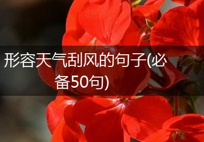 形容天气刮风的句子(必备50句)