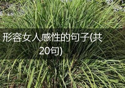 形容女人感性的句子(共20句)