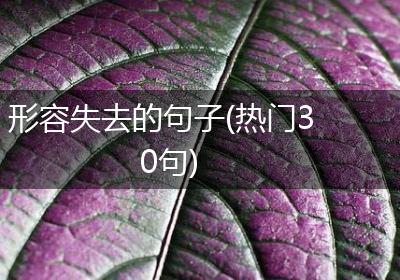形容失去的句子(热门30句)