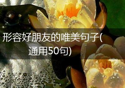 形容好朋友的唯美句子(通用50句)