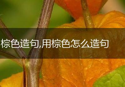 棕色造句,用棕色怎么造句