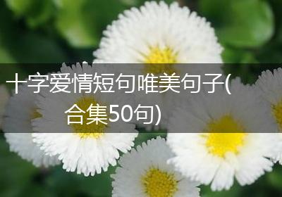 十字爱情短句唯美句子(合集50句)