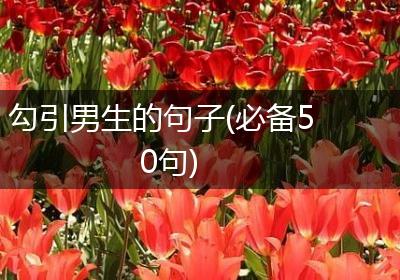 勾引男生的句子(必备50句)