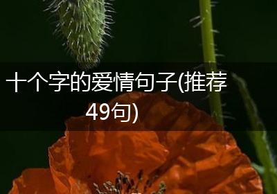 十个字的爱情句子(推荐49句)