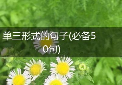 单三形式的句子(必备50句)