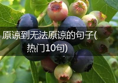 原谅到无法原谅的句子(热门10句)
