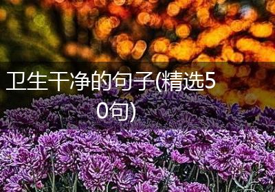 卫生干净的句子(精选50句)