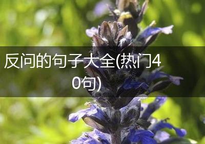 反问的句子大全(热门40句)