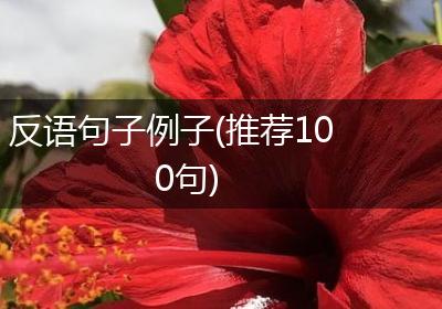 反语句子例子(推荐100句)