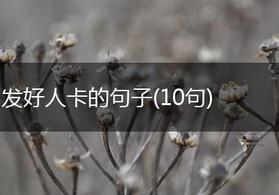 发好人卡的句子(10句)