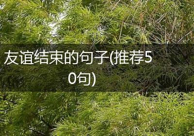 友谊结束的句子(推荐50句)