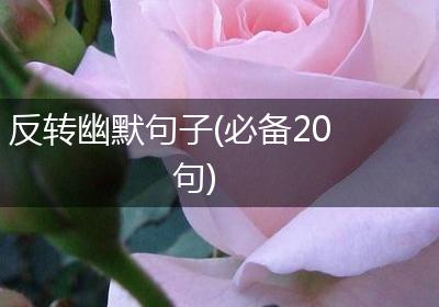 反转幽默句子(必备20句)