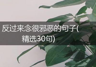 反过来念很邪恶的句子(精选30句)
