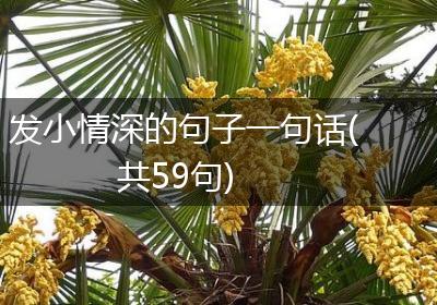 发小情深的句子一句话(共59句)
