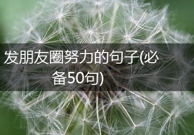 发朋友圈努力的句子(必备50句)