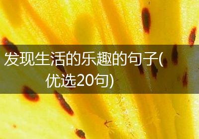 发现生活的乐趣的句子(优选20句)