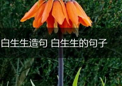 白生生造句 白生生的句子
