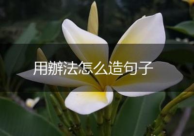 用辦法怎么造句子