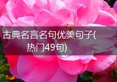 古典名言名句优美句子(热门49句)