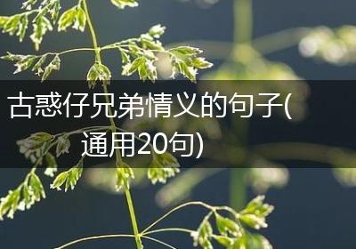 古惑仔兄弟情义的句子(通用20句)