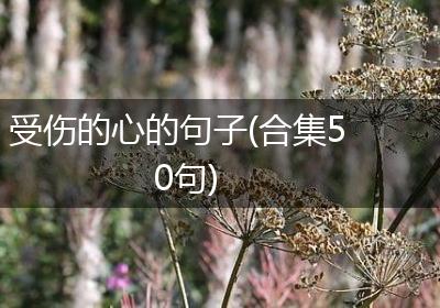 受伤的心的句子(合集50句)