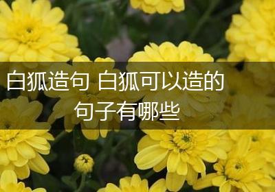 白狐造句 白狐可以造的句子有哪些