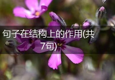 句子在结构上的作用(共7句)