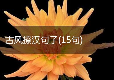 古风撩汉句子(15句)