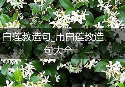 白莲教造句_用白莲教造句大全