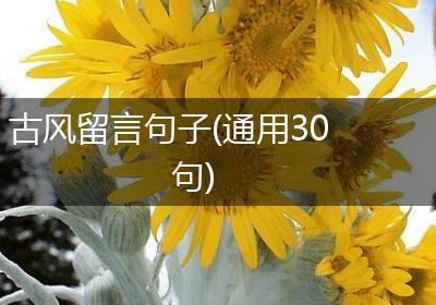 古风留言句子(通用30句)